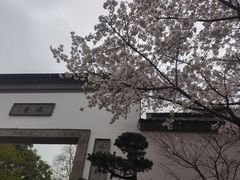 -吴越荣记苏州菜·松鼠桂鱼100%活鱼现做(斜塘老街店)