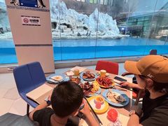 -帝企鹅自助餐厅•儿童岛•真企鹅(长隆企鹅酒店)