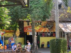 -是拉差龙虎园(Permanently closed)