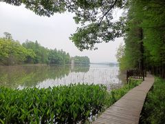 -东湖落雁景区