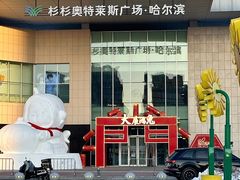 -杉杉奥特莱斯广场(哈尔滨店)