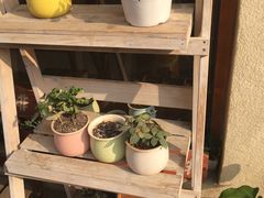 -长颈鹿咖啡(大学路店)