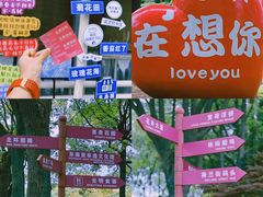 -上海鲜花港