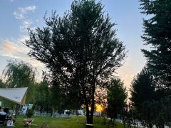 -TIPPI营地 房车主题·露营烧烤团建轰趴(天安假日店)