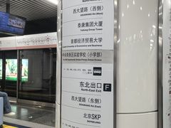 -大望路(地铁站)