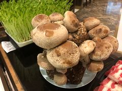 -捞神汤物料理(正大广场店)