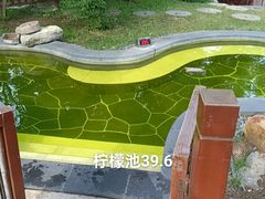 -东海森林温泉