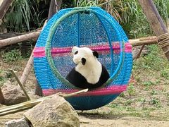 -宁波野生动物园