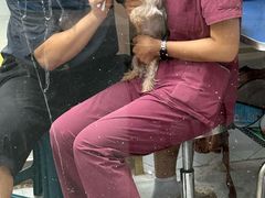 -瑞鹏宠物医院·普外科·影像科·皮肤科(城市山谷分院)