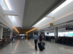 -约翰·菲茨杰拉德·肯尼迪国际机场