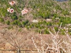 -居庸关长城