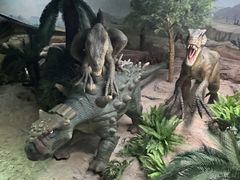 -国家自然博物馆