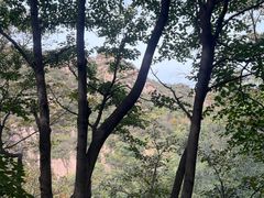 -大岭沟猕猴桃谷风景区