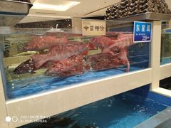 -双井轩(双井店)