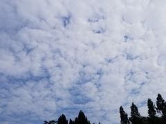 -素满香·素食自助餐(西安·民乐园店)