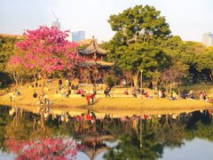 -四海公园(南山区)
