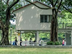 -晓港公园