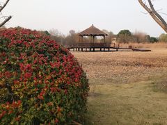 -梁鸿国家湿地公园