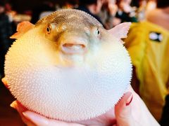 -永安鱼庄·镇江菜(东吴路店)