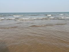 -日照海滨国家森林公园
