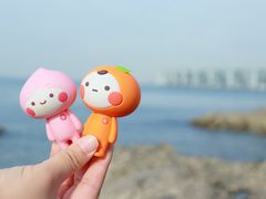 -星海湾跨海大桥