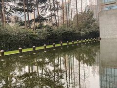 -上海璞麗酒店