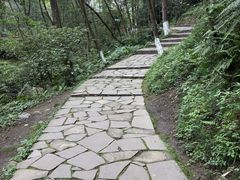-都江堰中华大熊猫苑
