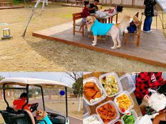 -太阳岛度假酒店