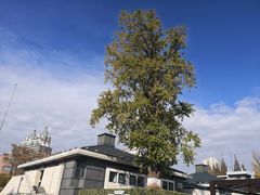 -南通博物苑-崇川人民公园