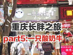 -一只酸奶牛(八一路店)