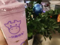 -一只酸奶牛(兰州中心店)