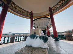 -龙舟池