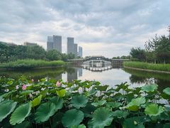 -西海子公园