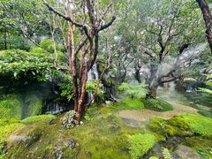 -Chom Cafe and Restaurant