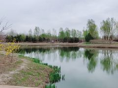 -东郊湿地公园