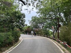 -南京市江宁方山