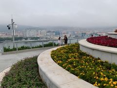 -威高广场
