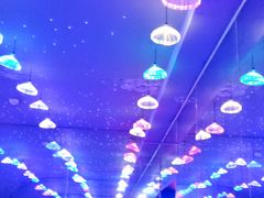 -多彩贵州城极地海洋世界