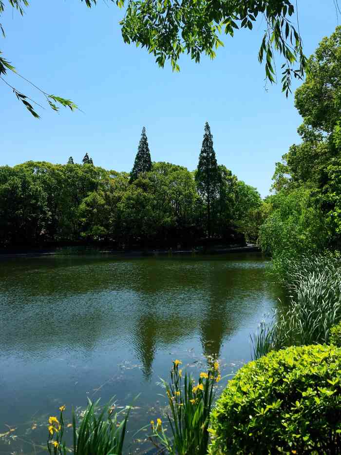 唐闸公园-"近来特别受欢迎的南通首届菊花展 我终于来.