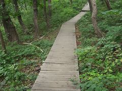 -北京上方山国家森林公园