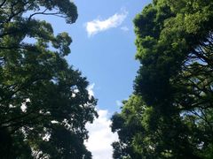 -三鹰之森吉卜力美术馆