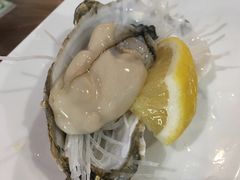 生蚝-官塘锋记鱼生·生腌·砂锅粥(牌坊街店)