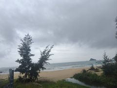 -西涌国际滨海旅游区