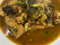 -全乐鱼馆·淳牌有机鱼直营店