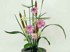 -荷兰布尔玛国际花艺学院