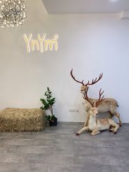 -雅尼·亚米儿童摄影美学馆(汉阳店)