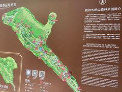 -东明山森林公园