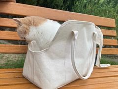 -瑞鹏宠物医院·宠保定点·心脏科·内科(御桥分院)