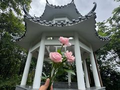 -广州白江湖森林公园