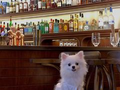 -ZAZA.CAFE.BAR